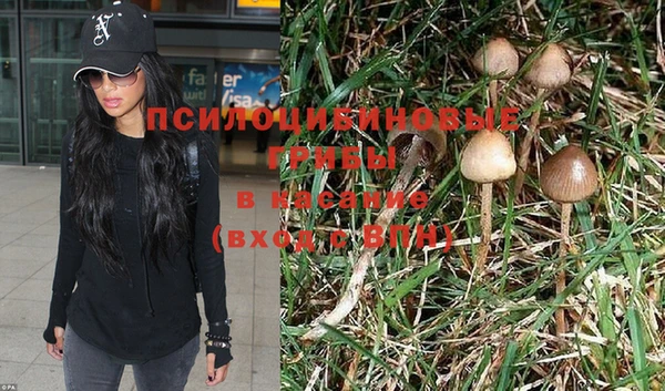 бошки Киреевск