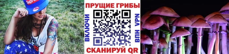 Псилоцибиновые грибы Psilocybe Братск