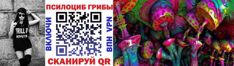 Купить где  Братск  Псилоцибиновые грибы мицелий 