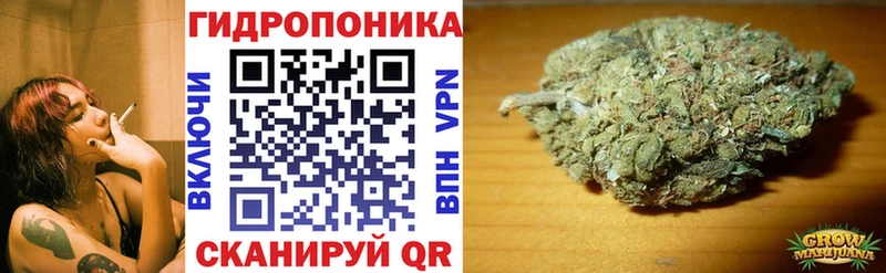 Конопля сатива  Купить закладки  Братск 